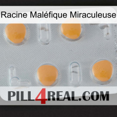 Racine Maléfique Miraculeuse 24